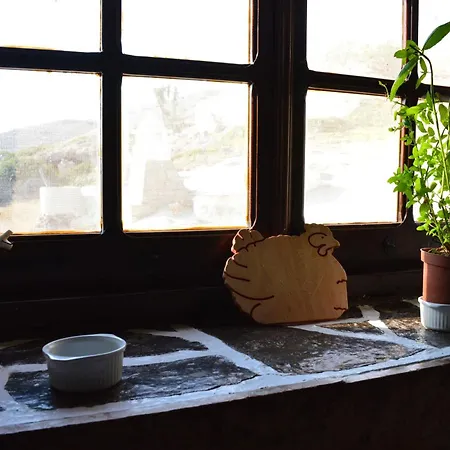 The Lady Of Flakopi ヴィラ Pachaina