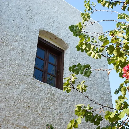 The Lady Of Flakopi Villa