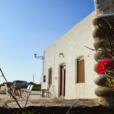 فيلة The Lady Of Flakopi Pachaina