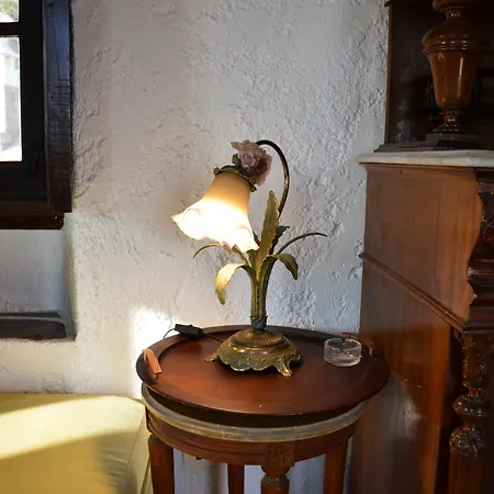 The Lady Of Flakopi Villa *