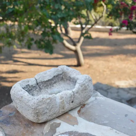 The Lady Of Flakopi * Pachaina